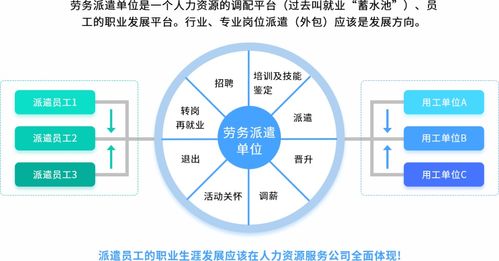 互聯(lián)網(wǎng)信息服務(wù)助力人力資源服務(wù)機(jī)構(gòu)數(shù)智化轉(zhuǎn)型
